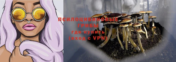 спиды Бугульма