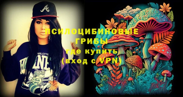 МДМА Богородицк