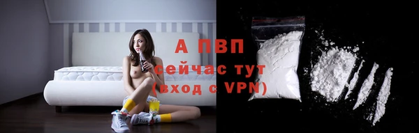 прущие крисы Богданович