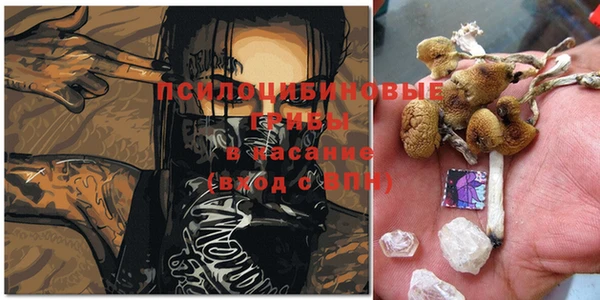 прущие крисы Богданович