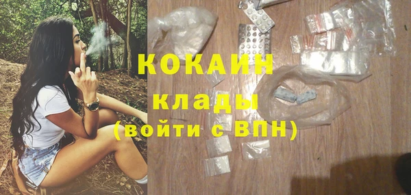 эйфоретик Бородино