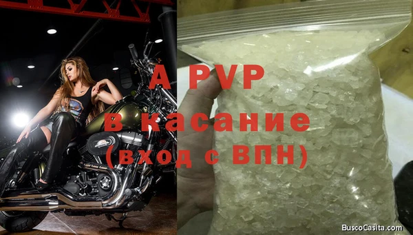 прущие крисы Богданович