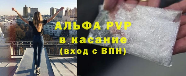 прущие крисы Богданович